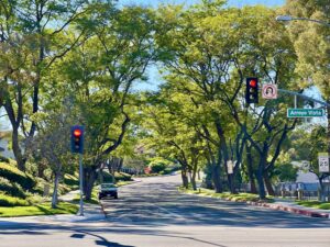 Gorgeous view with trees hanging over the street coming out of the Serabrisa Condos in RSM, Rancho Santa Margarita