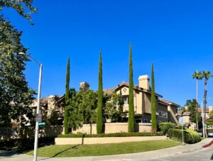 Sierra Verde Townhome Style Condos in Rancho Santa Margarita, as you can see nice size yard and looks more like homes than condos